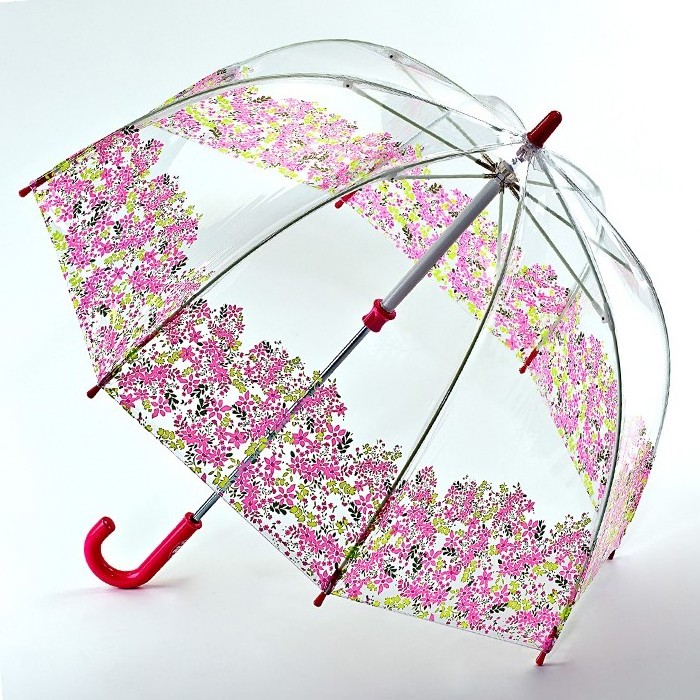 Fantastic umbrella fashion Ms Straight Transparent Dome umbrella Princess umbrella