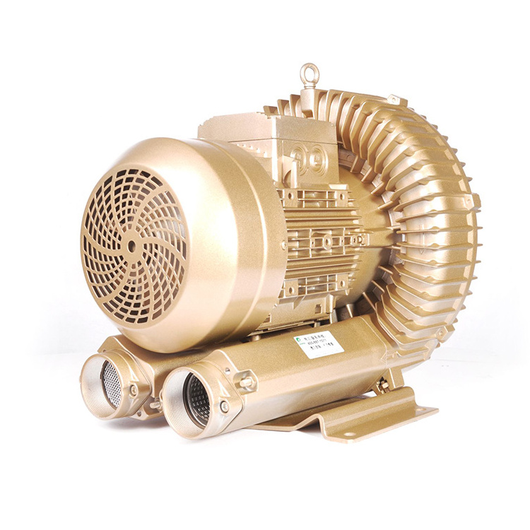 Quality Side Channel Blower Supplier GOORUI High Pressure Ring Blowers For Biogas Transfer