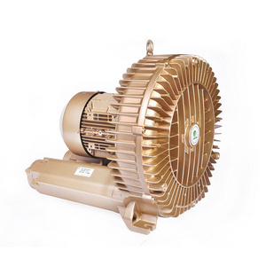 Factory Wholesale High Pressure Electric Hot Air Blower Aeration Pump for Jacuzzi SPA