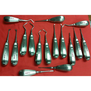 WHOLE SALE GORAYA GERMAN 10 Dental Elevators MIX Surgical Medical Dental Instruments CE ISO APPROVED