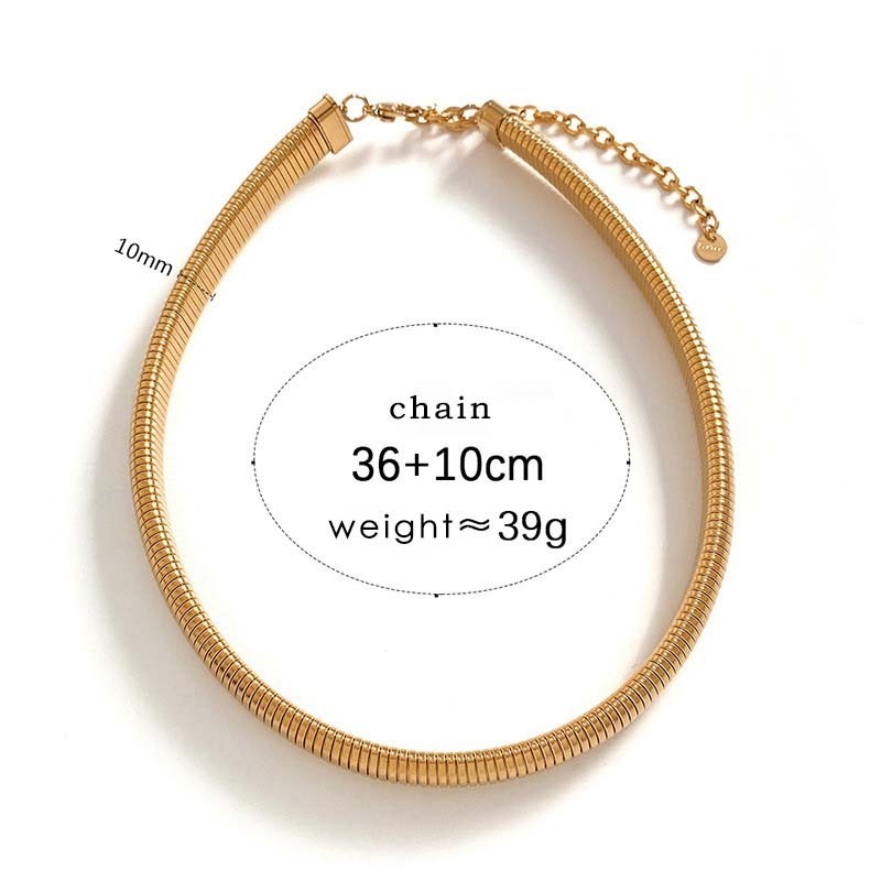 Design Jewelry Women's Stainless Steel Choker Simple Individual Metal Circle Short Chunky Flat Snake Chain Necklace