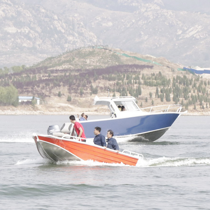 Plate Hull Aluminum Cuddy Cabin Fishing Closed Hardtop Boat 800