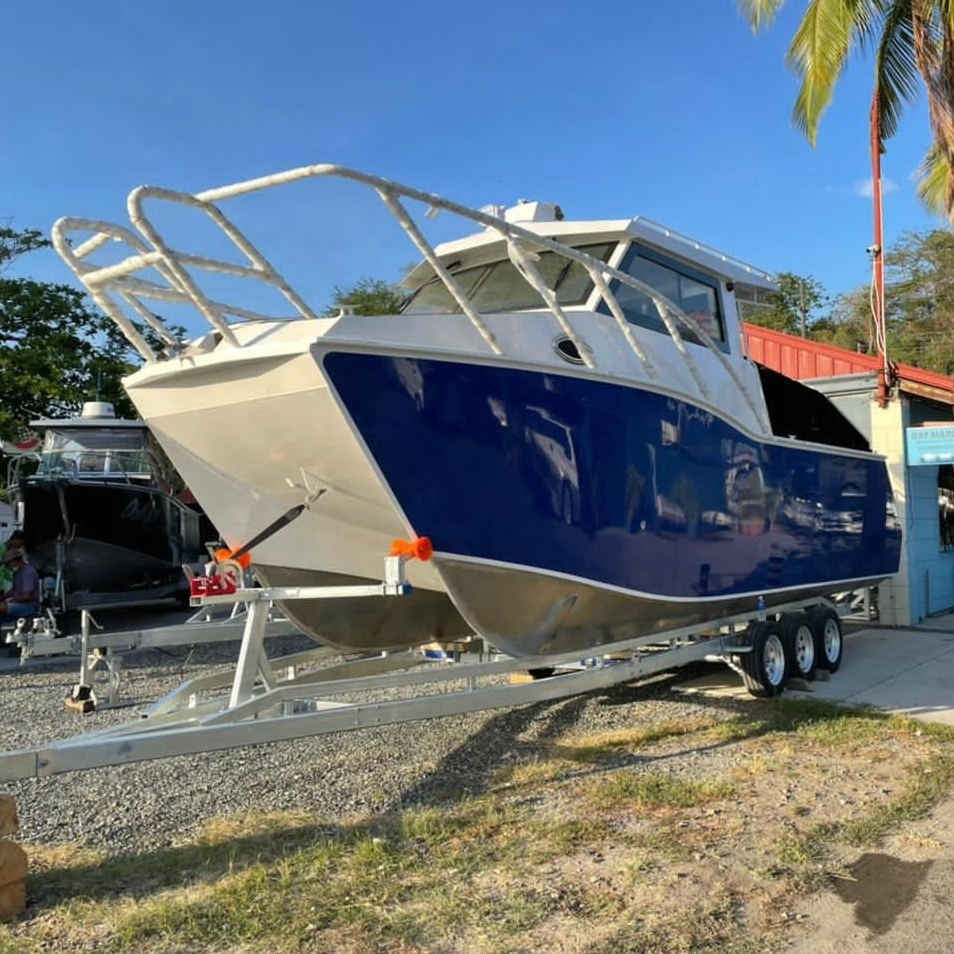 29ft aluminum luxury large cabin catamaran boat alloy hull with L shape sofa