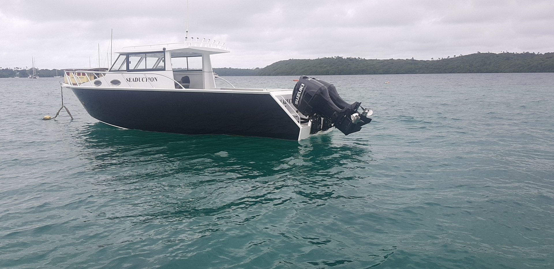 gospel boat 30ft Lifestyle aluminum commercial fishing boat passenger boats for sale