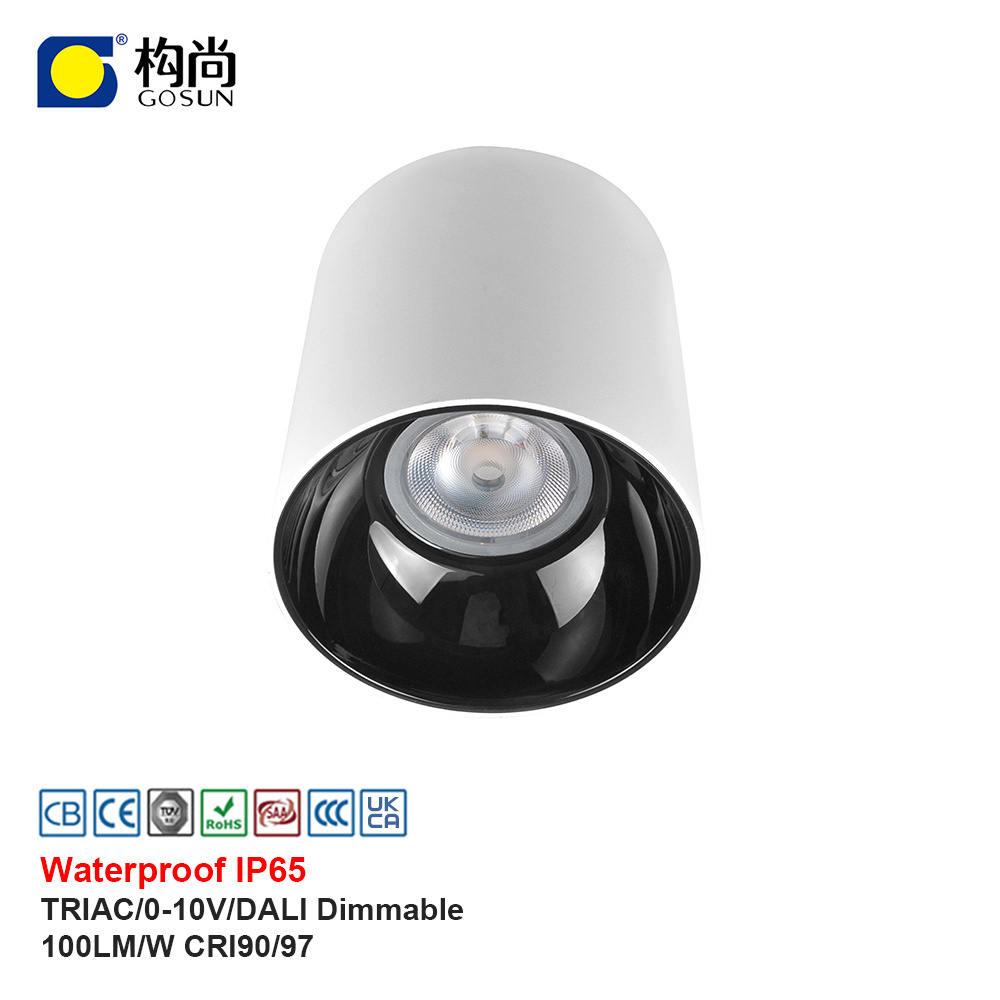 Gosun beam angle 20/40 Degree Waterproof Ip65 Led Surface Mounted/Suspended Downlight