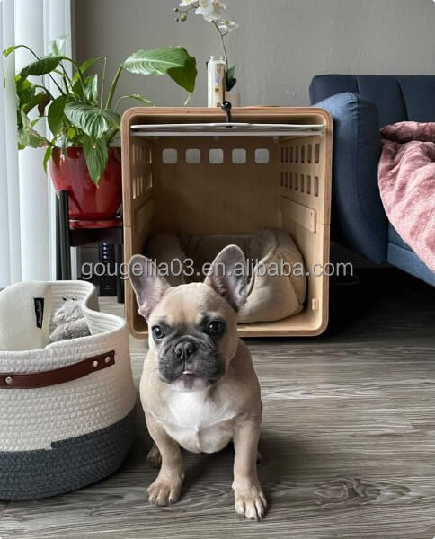 Factory Modern Customized Stylish Clear Acrylic Heavy Duty Fold Up Inside House Kennel Dog Wood Crate For Small Animals