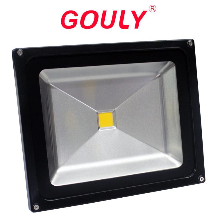 50W cob led floodlight with waterproof ip67 24v 12vdc and 100-240vac bowfishing light flood led