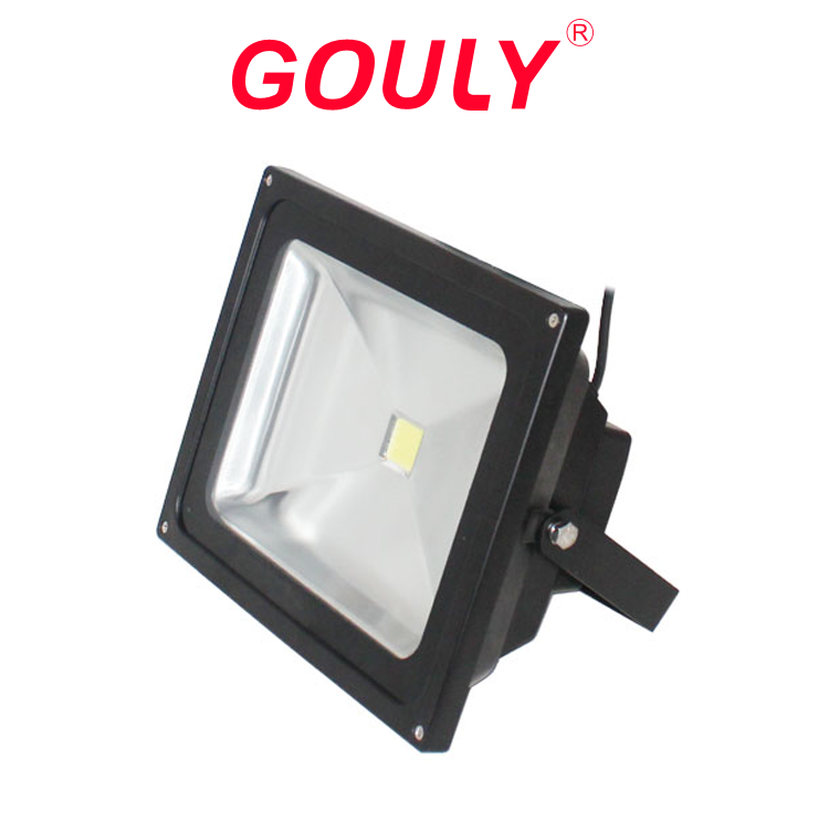 50W cob led floodlight with waterproof ip67 24v 12vdc and 100-240vac bowfishing light flood led