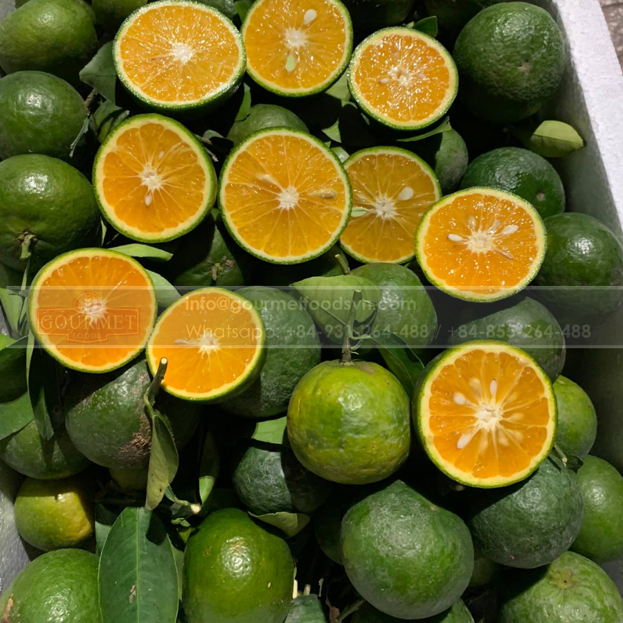 Fresh Orange With High Quality Is A Fruit Rich In Nutrition And Offers Many Health Benefits