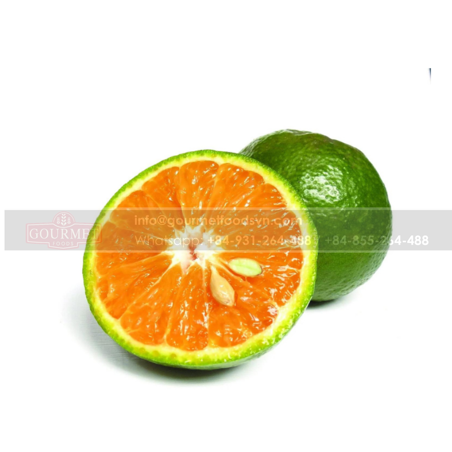 Fresh Orange With High Quality Is A Fruit Rich In Nutrition And Offers Many Health Benefits