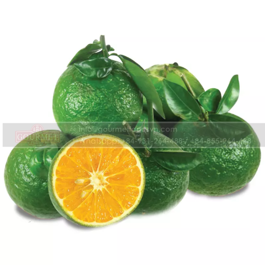 Fresh Orange With High Quality Is A Fruit Rich In Nutrition And Offers Many Health Benefits