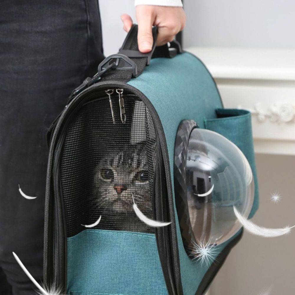 New Pet Carrier Backpack Space Capsule Bubble Design Cat Carriers Travel Handbag