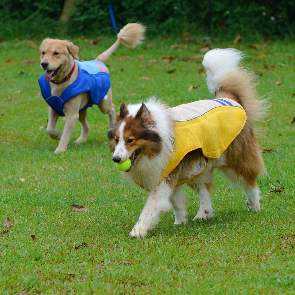 Wholesale Summer Dog Cooling Vest Reflective Adjustable Pet Outdoor Cooler Vest