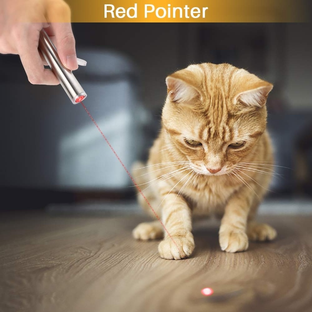 Multifunctional 3 in 1 cat laser pointer toy USB interactive cat laser toy