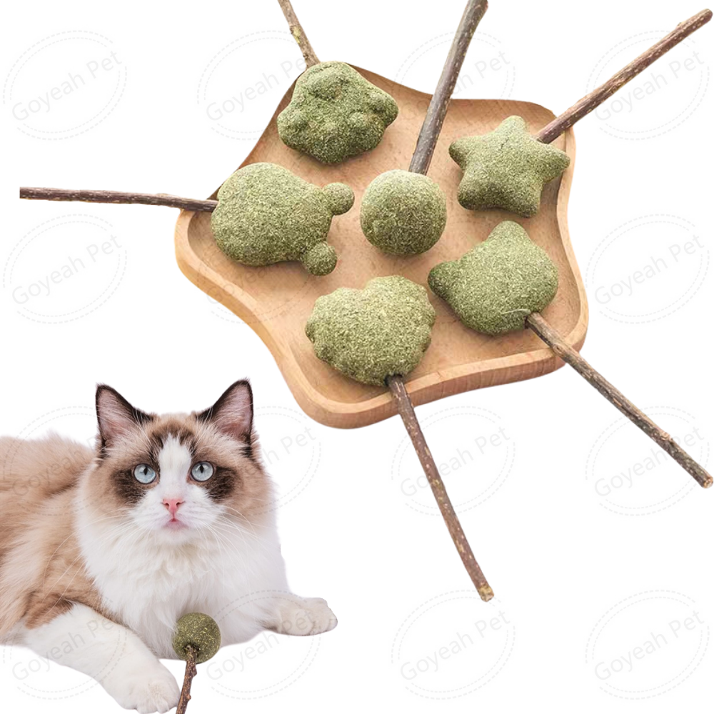 Green Polygonum Catnip Lollipops Cat Toy Silver Vine Cat Chew Stick with Mint Ball