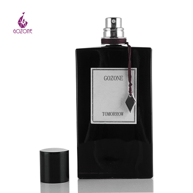 Boteille De Parfum 100 Ml Perfume Designer Bottles Dark French Square Glass Perfume Bottles