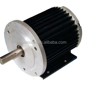 Electric BLDC Brushless DC Motor 48v 1hp 1kw 2kw 3kw 3000w 4kw 4000w 5kw 7kw 8kw 10kw 10000w 15kw 20kw 25kw 30kw 40kw 60kw 100kw