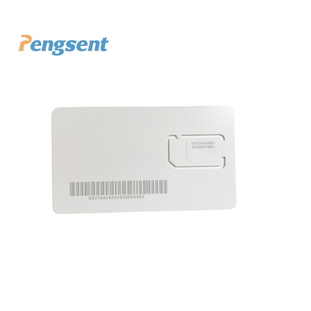 Pengsent Global sim card for GPS tracking device