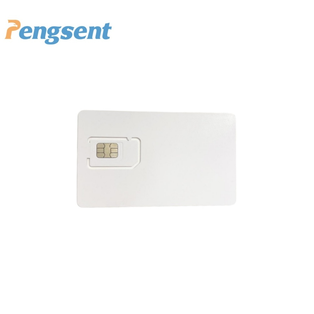 Pengsent Global sim card for GPS tracking device