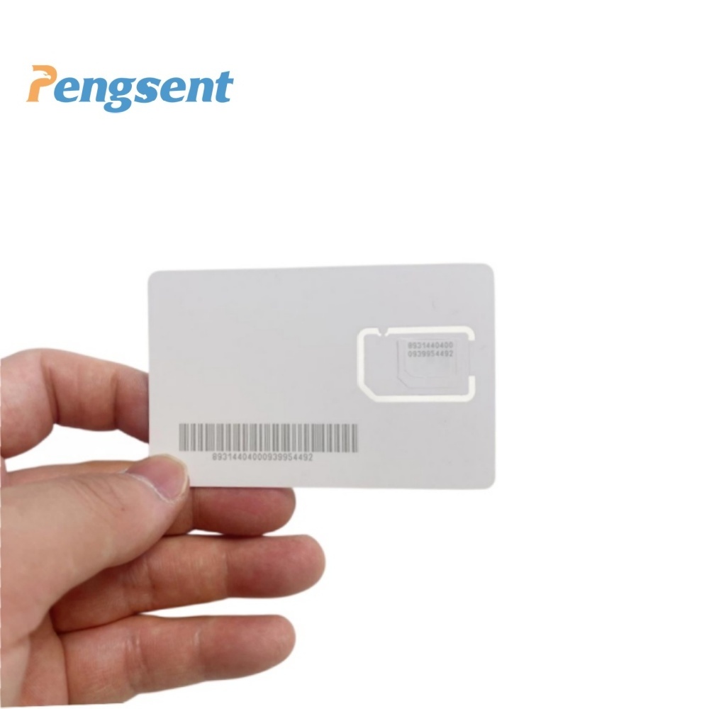 Pengsent Global sim card for GPS tracking device