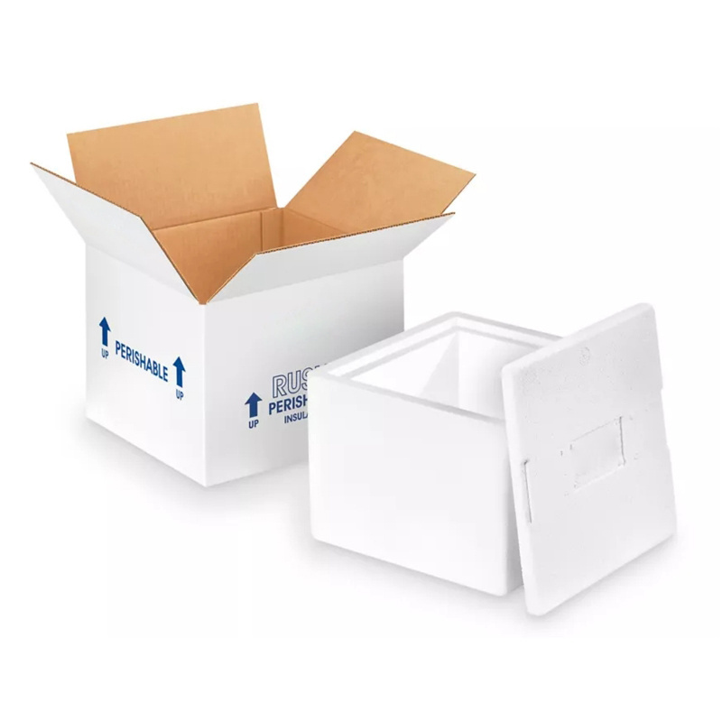 Cold Chain Shipping Box Styrofoam Cooler Insulated Foam Box Insulated Shipping Foam Boxes for Frozen Food