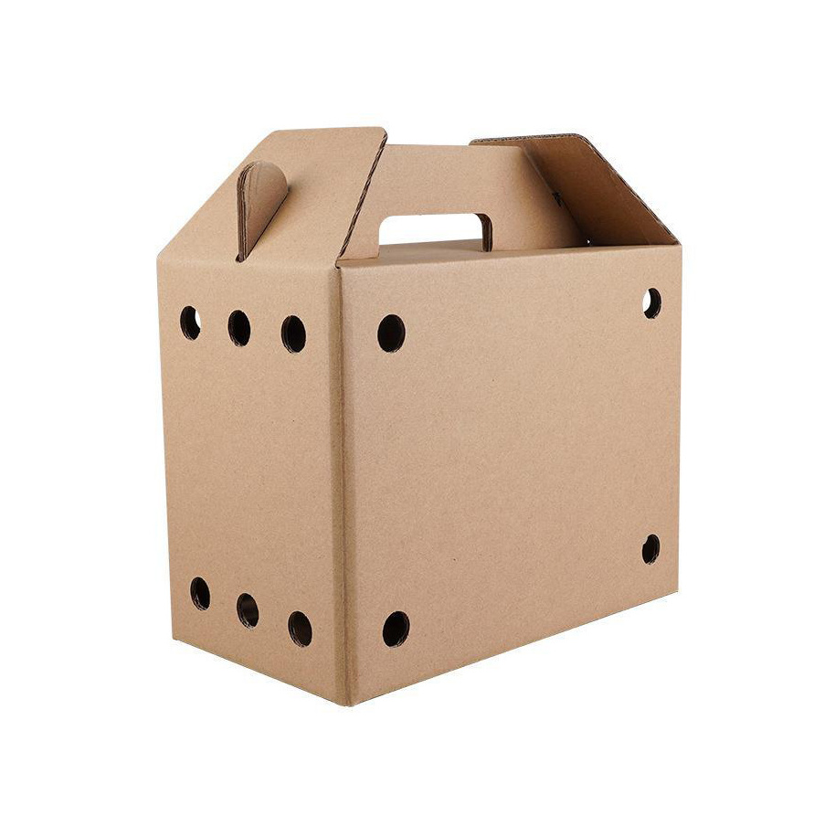 High Quality Corrugated Day Old Chicks Transport Boxes Carry Live Bird Shipping Box with Handle