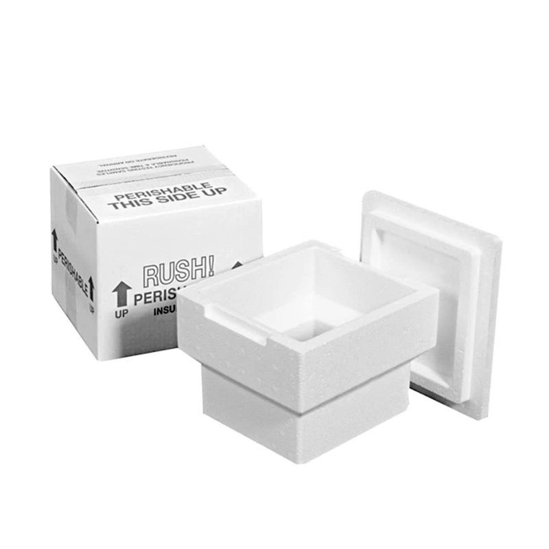 Cold Chain Shipping Box Styrofoam Cooler Insulated Foam Box Insulated Shipping Foam Boxes for Frozen Food