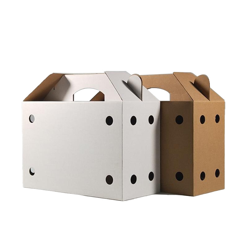 High Quality Corrugated Day Old Chicks Transport Boxes Carry Live Bird Shipping Box with Handle