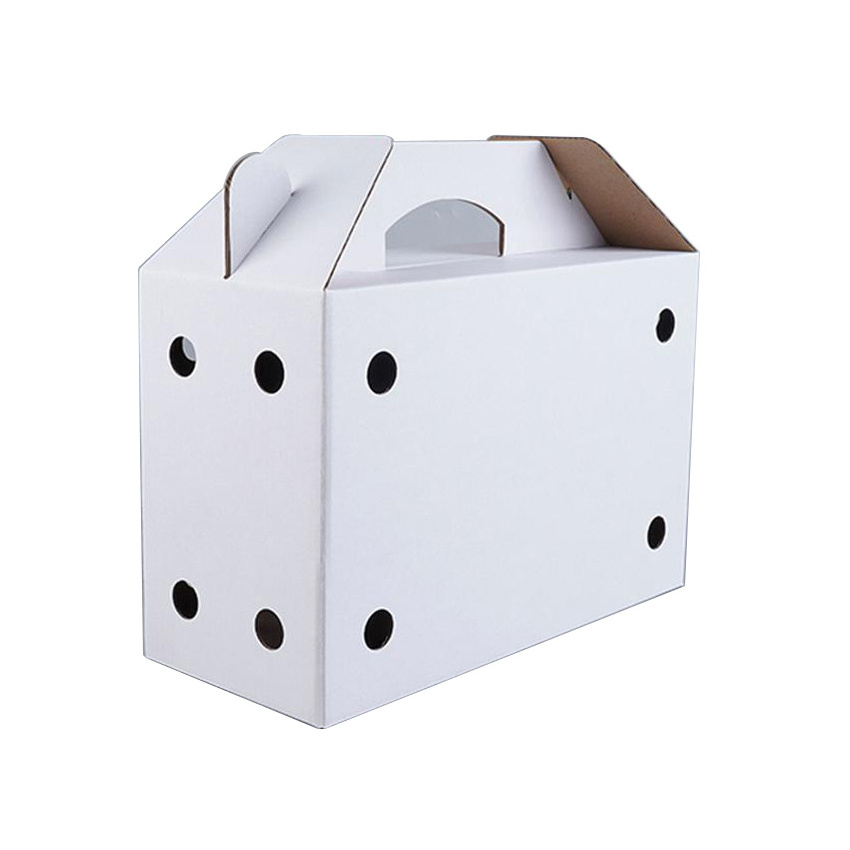 High Quality Corrugated Day Old Chicks Transport Boxes Carry Live Bird Shipping Box with Handle