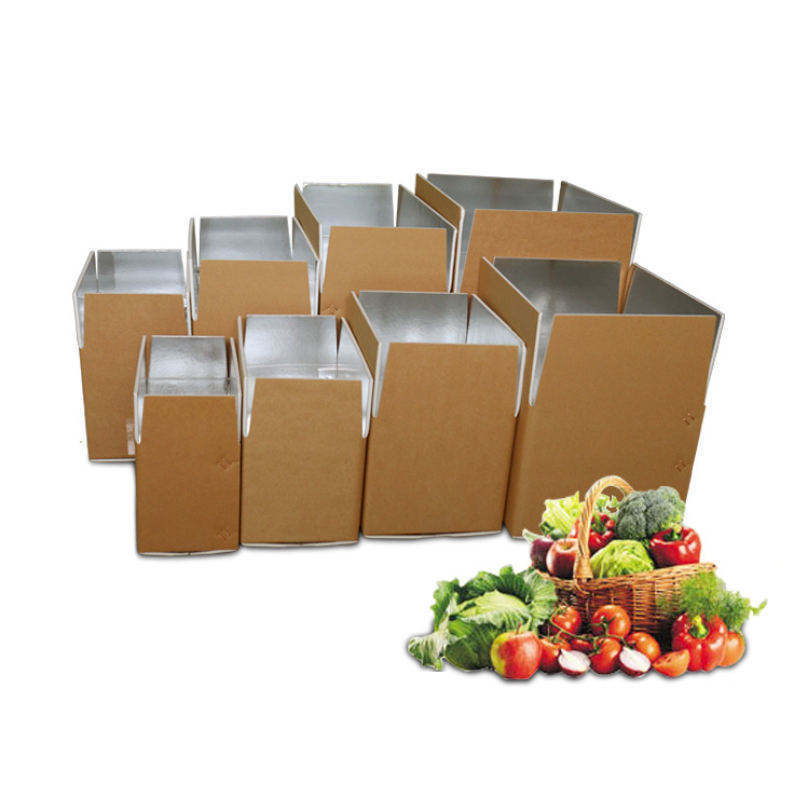 Wholesale Custom Insulation Insulated Cardboard Carton Boxes Cold Shipping Packaging Box For Transporting Frozen Food