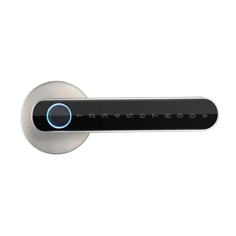 Smart Lock Home Apartment Digital Keyless Biometric Door Lock