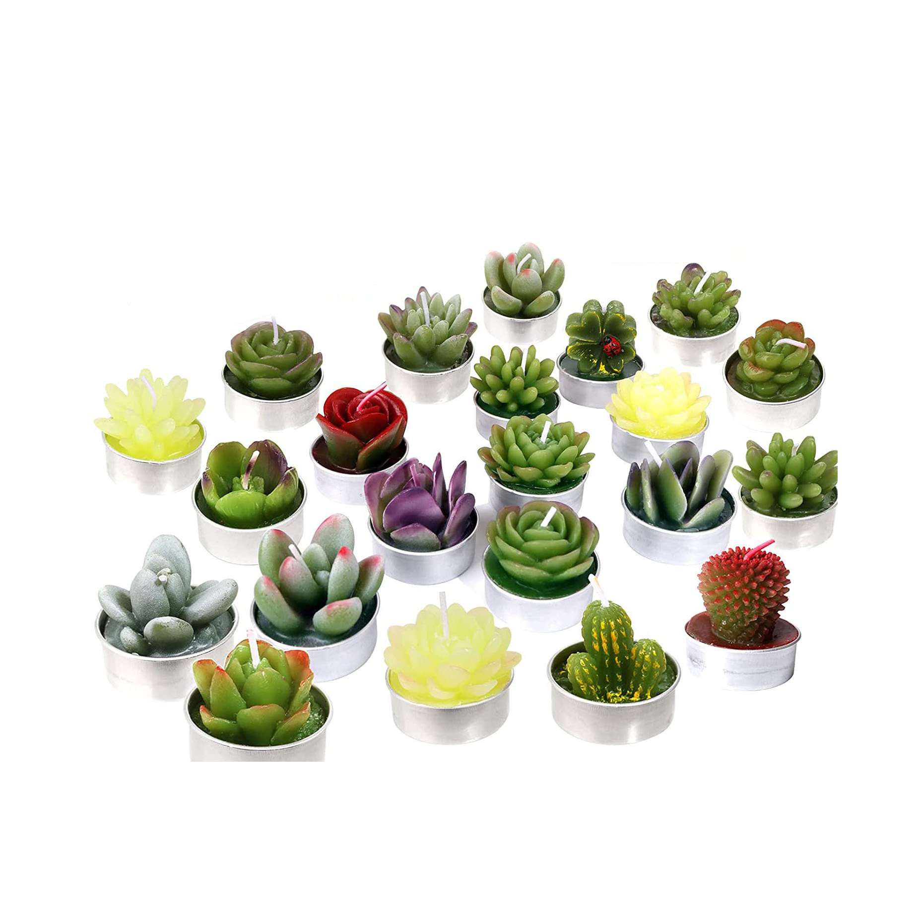 Cactus Tea lights Candle Delicate Succulent Tealight Candles for Home Decor New Year Presents Housewarming Gifts Housewarming