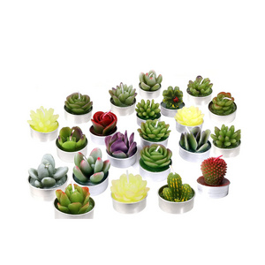 Cactus Tea lights Candle Delicate Succulent Tealight Candles for Home Decor New Year Presents Housewarming Gifts Housewarming