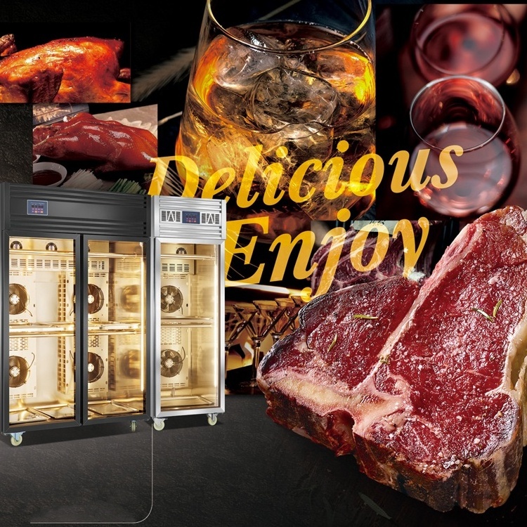 Grace Matured Steak Dry Aging Refrigerator Storage Beef Dry Ager Meat Dry Aging Fridge Cabinet Machine