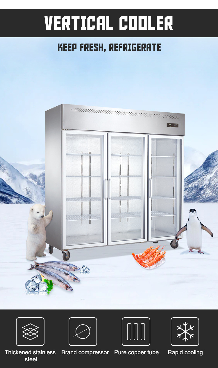 2020 Luxury Commercial Upright 3 Glass Door Display Cooler Freezer