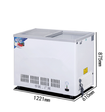 Big Handle 165L/325L Thickness Foaming Two Door Chest Freezer/Deep Freezer