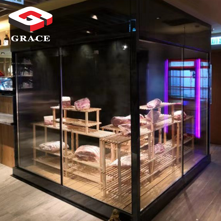 Grace Matured Steak Dry Aging Refrigerator Storage Beef Dry Ager Meat Dry Aging Fridge Cabinet Machine