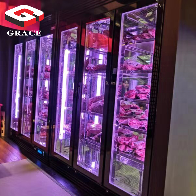 Grace Matured Steak Dry Aging Refrigerator Storage Beef Dry Ager Meat Dry Aging Fridge Cabinet Machine