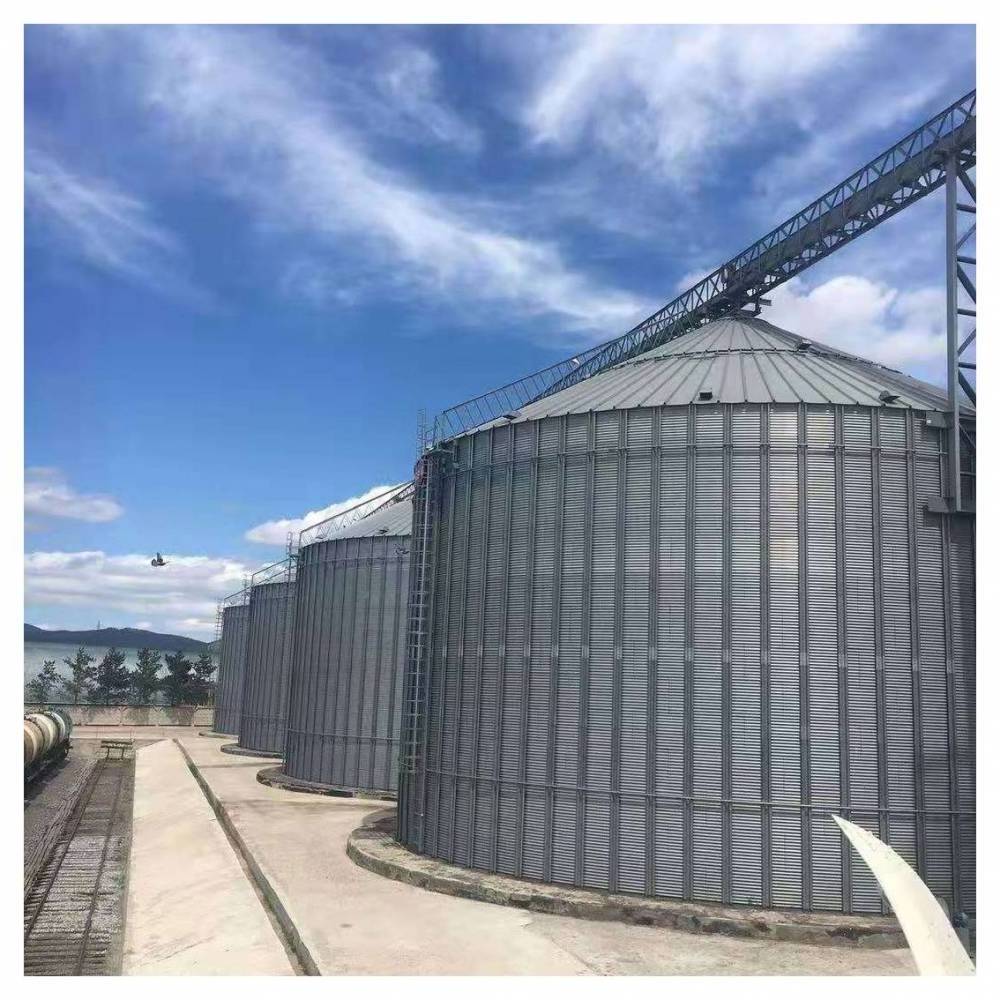 High Quality Small Grain Silo Pig Chicken Animal Husbandry Galvanized Steel Silo For Grain Storage