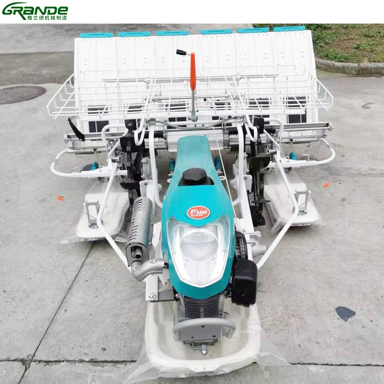 2024 New Walk-Behind  6 Rows Paddy Rice Planting Machine for sale  rice transplanter