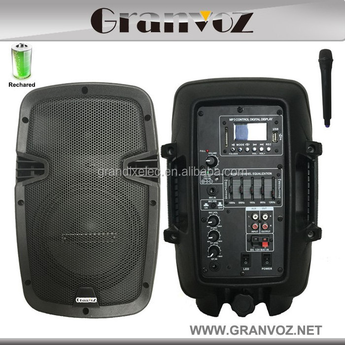 8 inch 100w ibastek portable wireless speaker