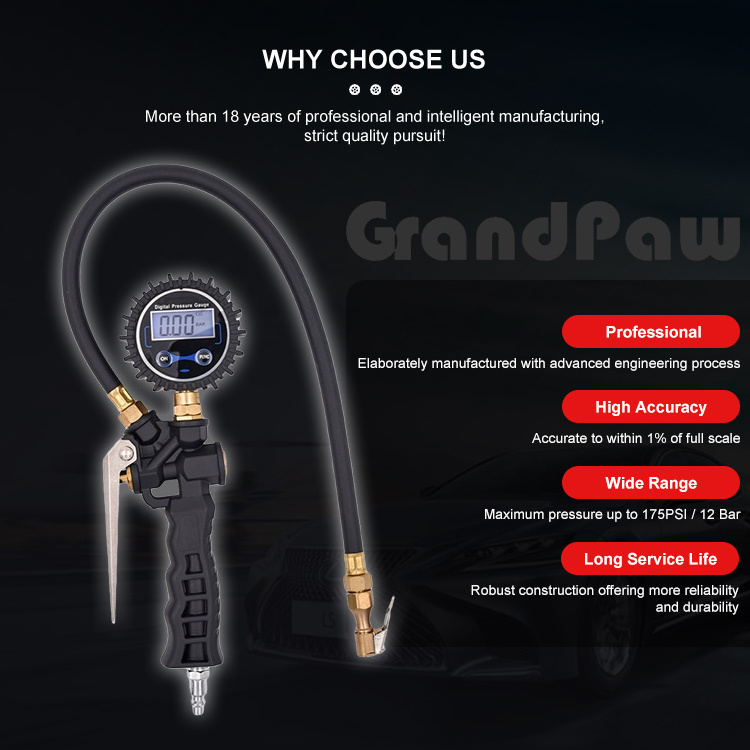 Hot Sale Professional Lower Price Shockproof Air Pressure Monitor Tire Digital Pressure Gauge