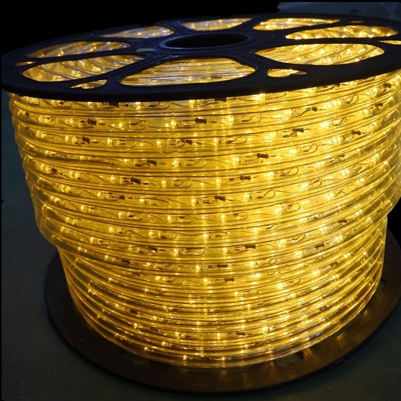 Waterproof Outdoor 220V 24V 12V Round 2 wires 13mm Led Rope Light