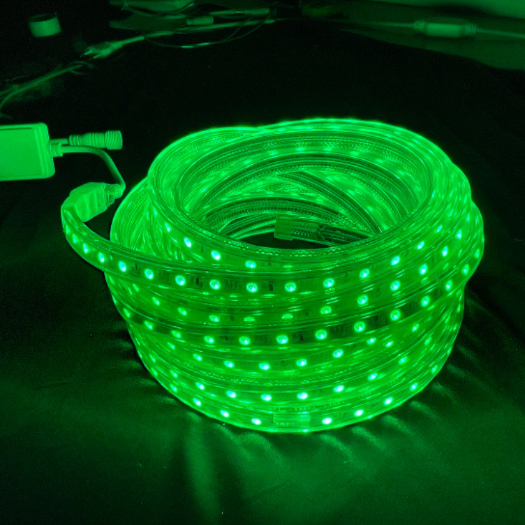 Wholesale Outdoor Waterproof LED Strip Light 110V 220V Christmas Lights