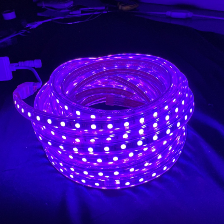 Wholesale Outdoor Waterproof LED Strip Light 110V 220V Christmas Lights