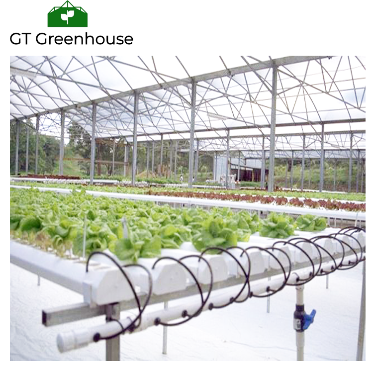 Good Price  Used Greenhouses Equipment for Sale