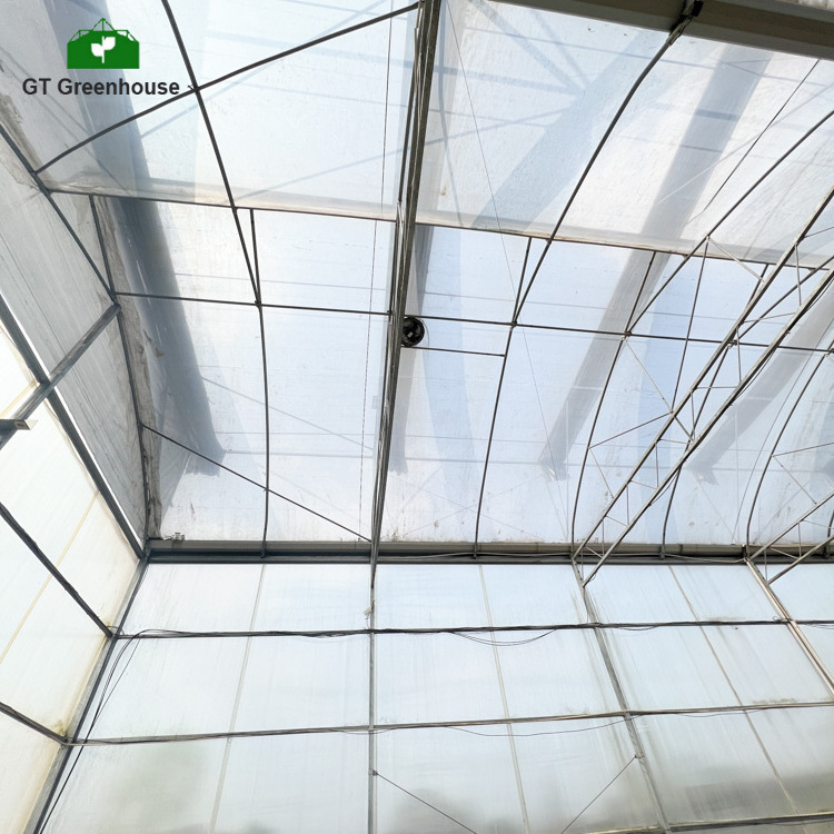 Low tunnel plastic sheet sliding doors polycarbonate greenhouses