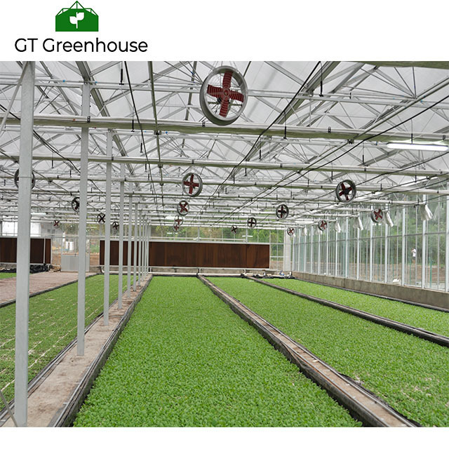 Glass Used Commercial Greenhouse for Sale