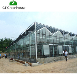 Glass Used Commercial Greenhouse for Sale