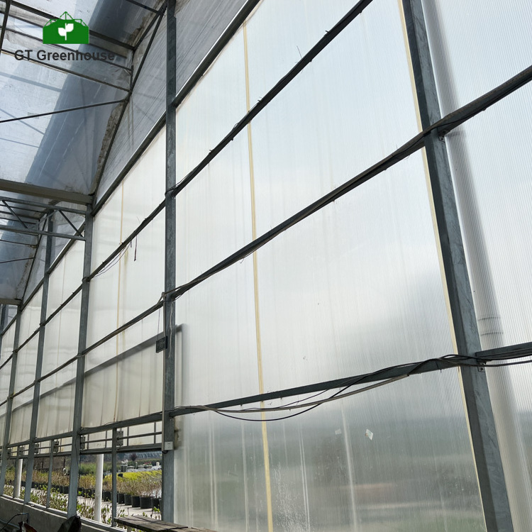 Low tunnel plastic sheet sliding doors polycarbonate greenhouses